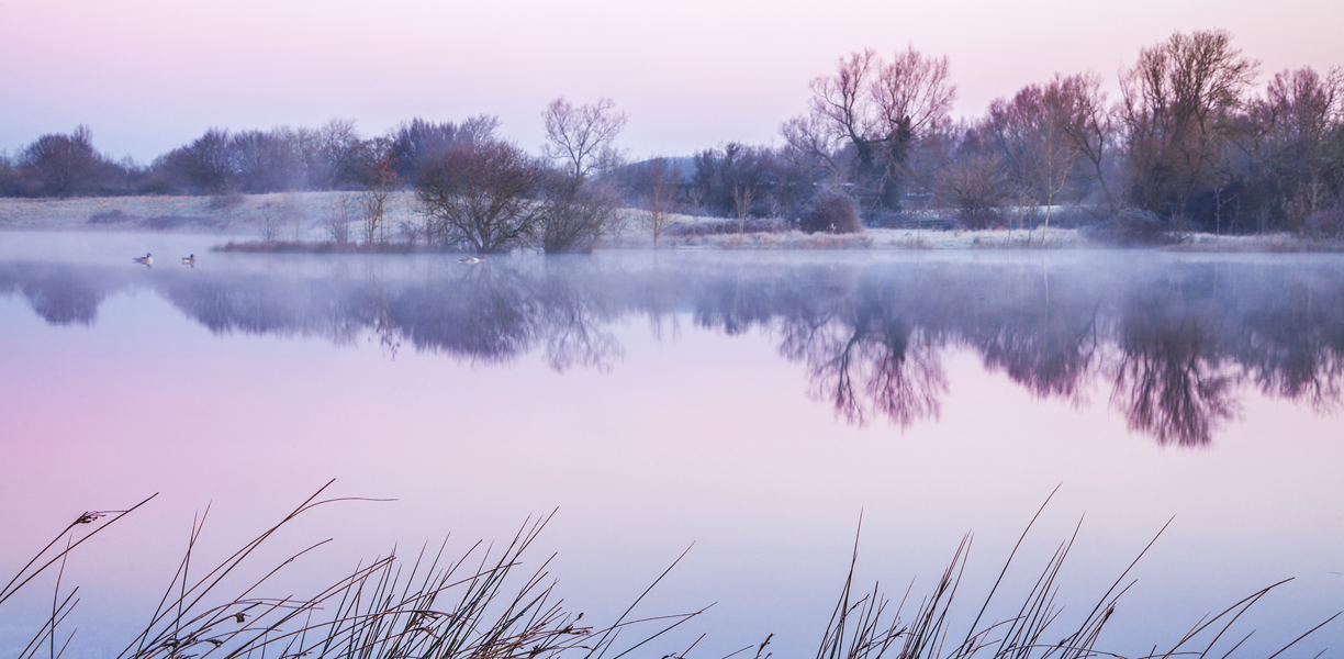 pink and purple early morning view over a lake