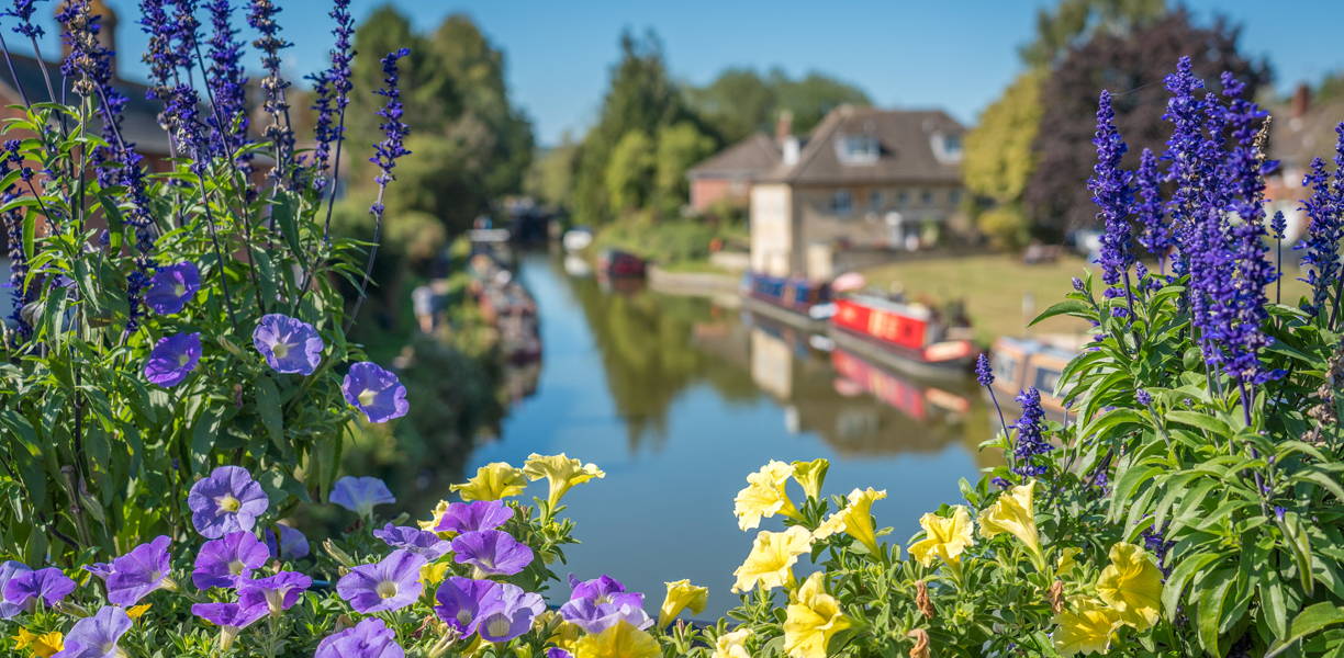 Colourful flowers alongside the canal