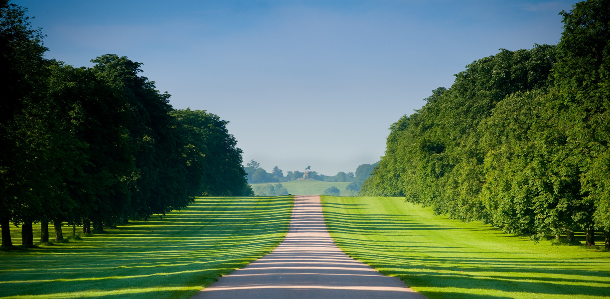 Wide path between trees and grass