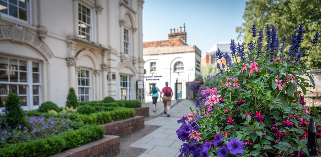 Flowers and buildings