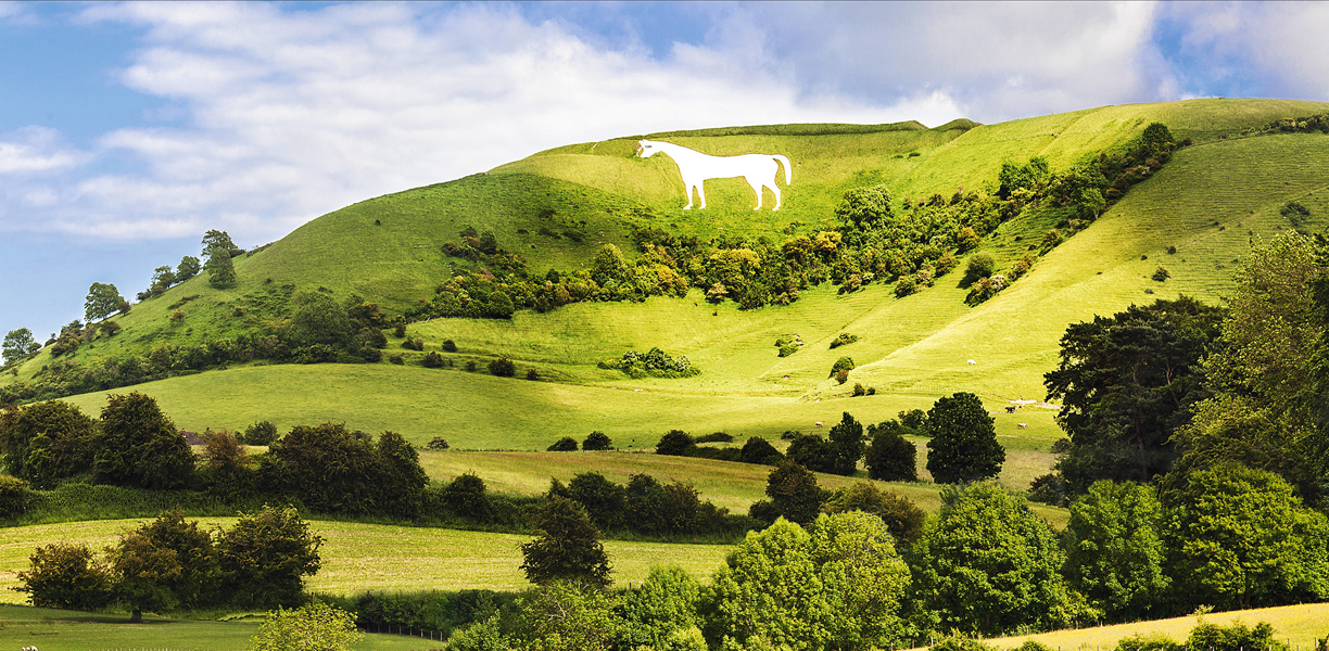 A white horse set on a green hillside