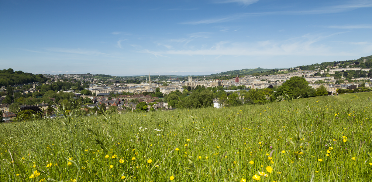 A field of spring flowers with the city of Bath in the distance