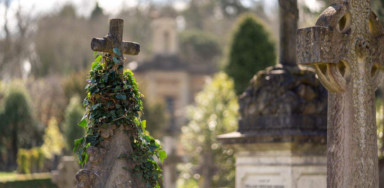 Graves and monuments overgrown with ivy