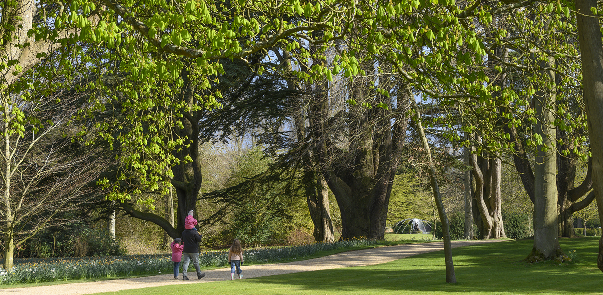 Family walking in the grounds of Blenheim