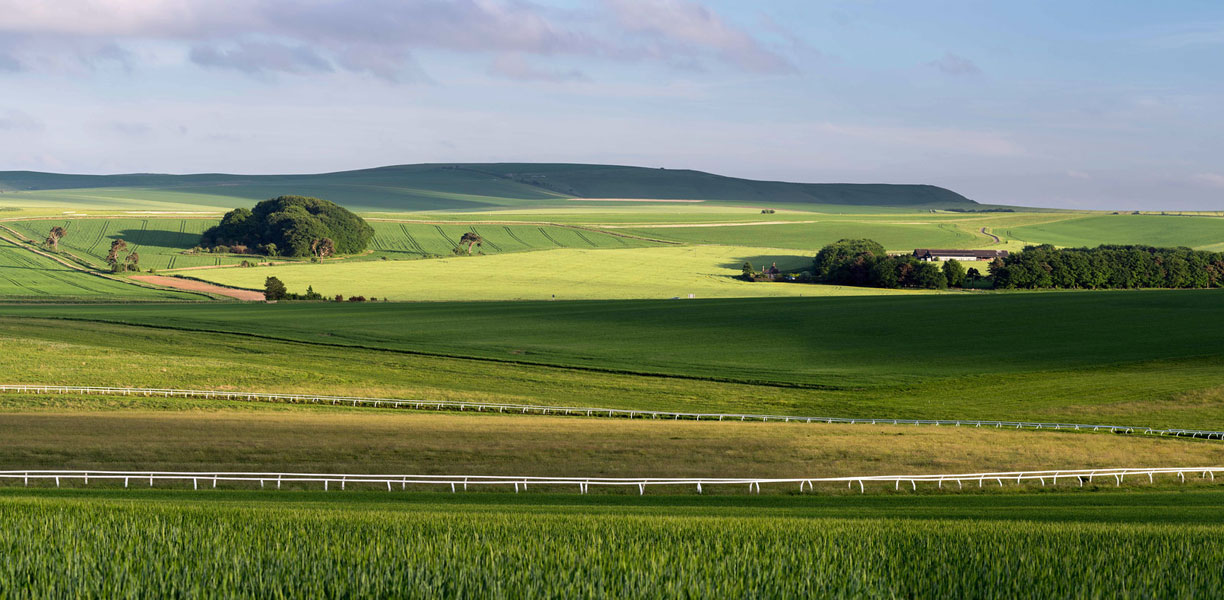 Gallops at Beckhampton 