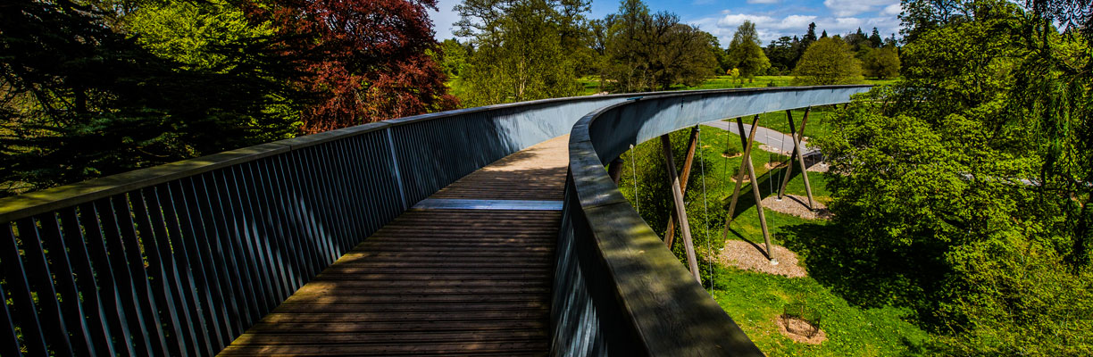 STIHL Treetop Walking at Westonbirt Arboretum 