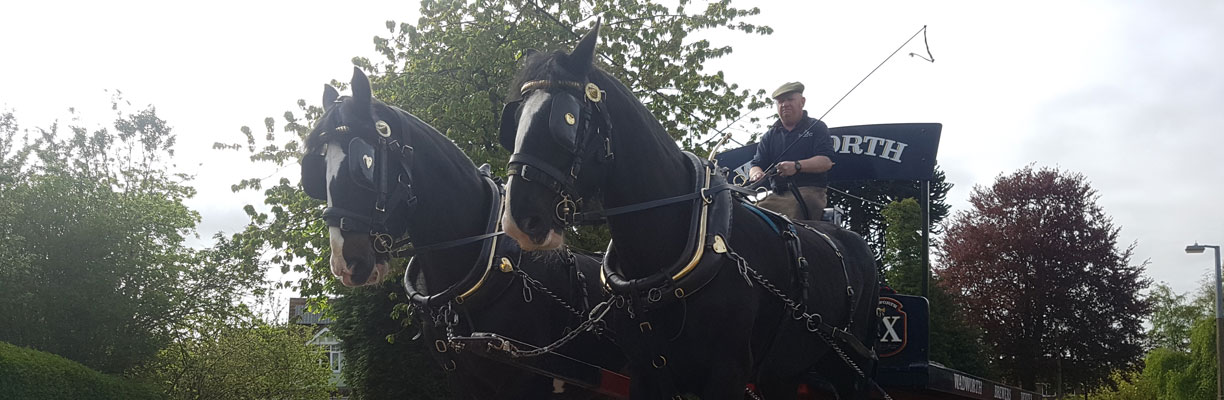 Martin Whittle driving Max and Archie 