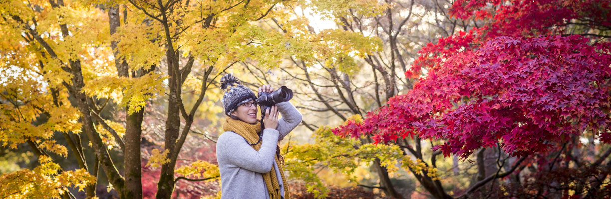 Photographer at Westonbirt Arboretum 