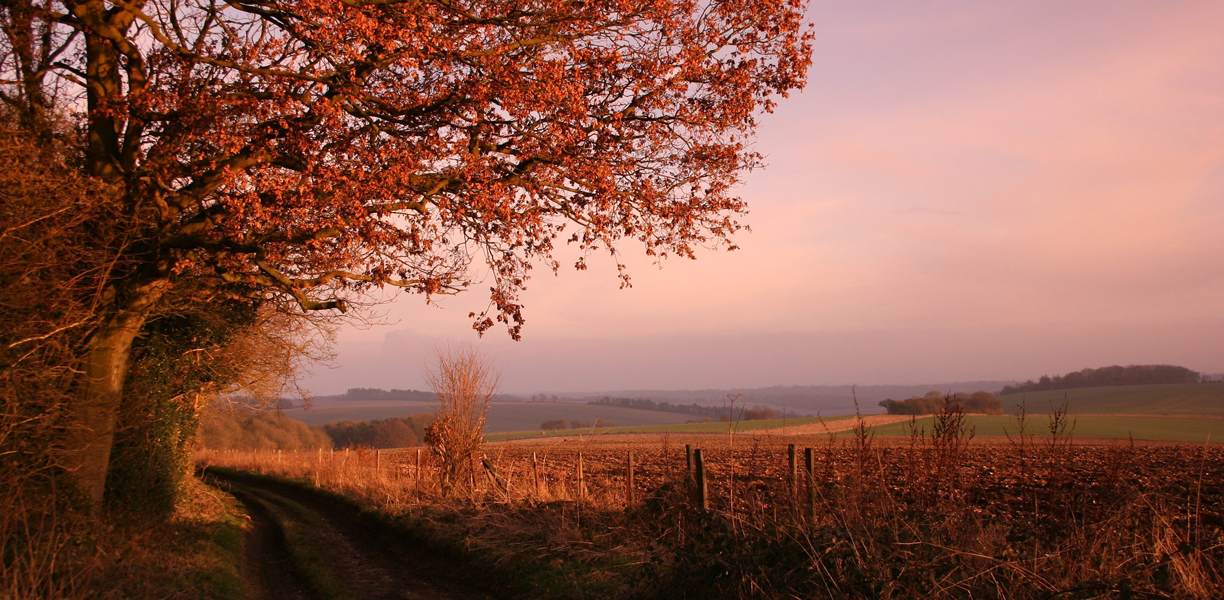 The Ridgeway