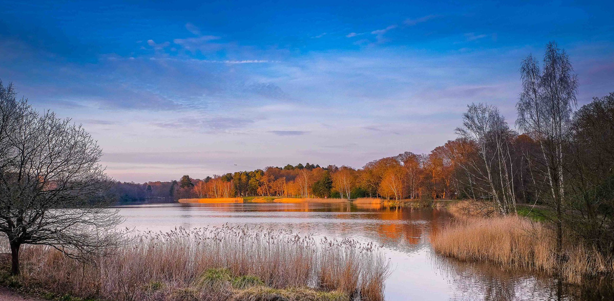 Golden trees reflected in the lake on a frosty day