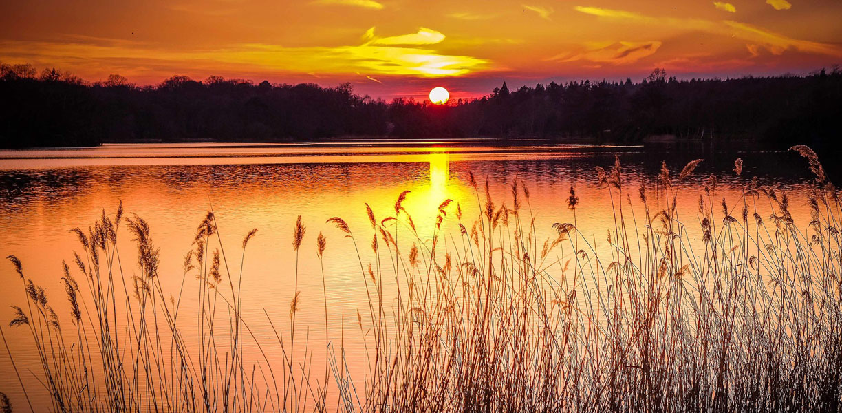Virginia Water sunset