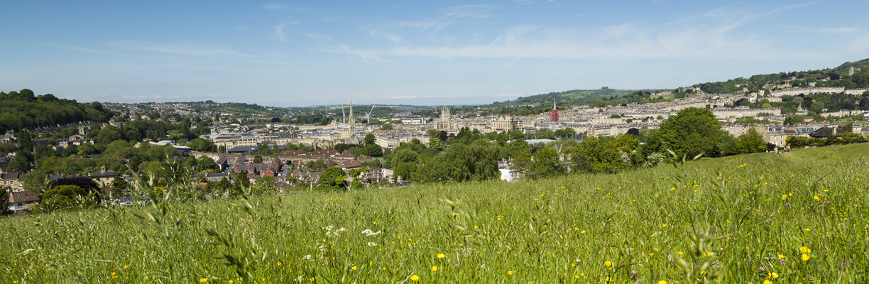 Bath Skyline