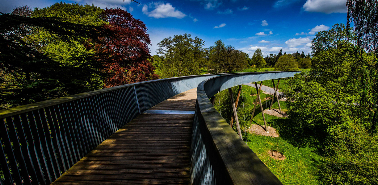 The treetop walkway at Westonbirt Arboretum 