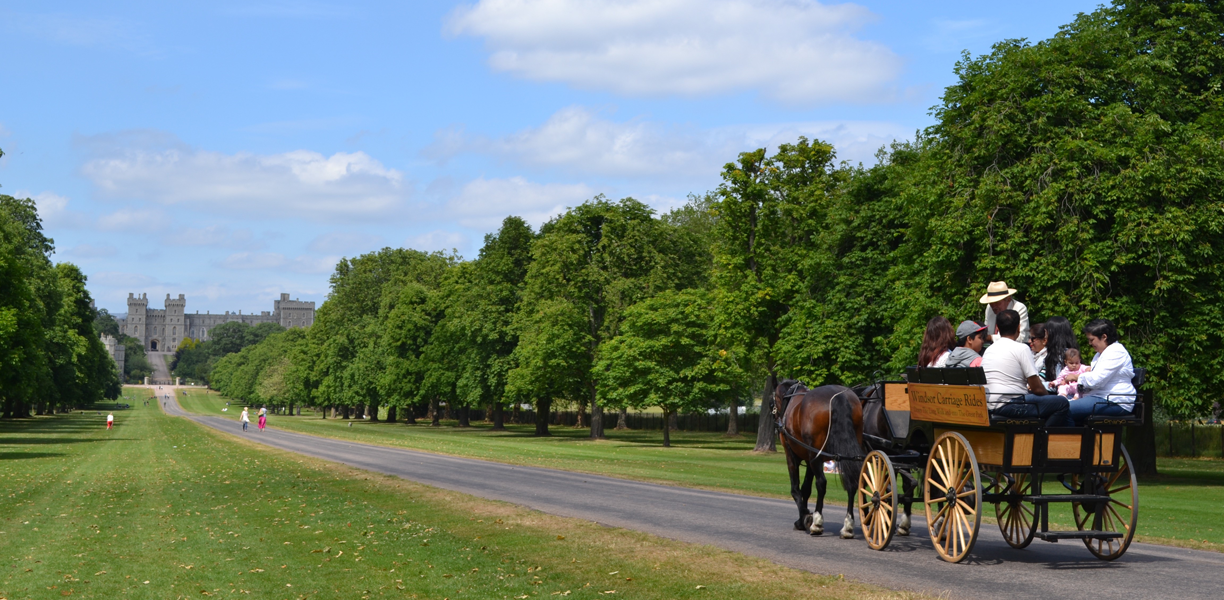People in a horse-drawn carriage with Windsor Castle in the background