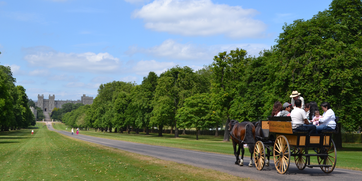 Horse drawn carriage on the Long Walk in Windsor Great Park