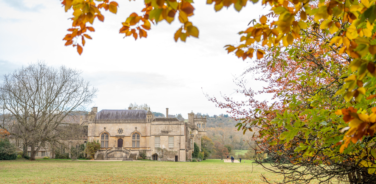 trees with autumnal orange leaves around historic abbey