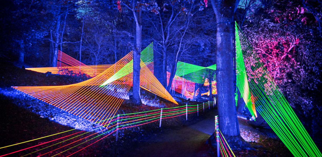 Rows and rows of coloured lights strung between trees